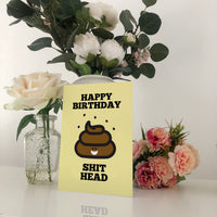 HAPPY BIRTHDAY YOU  SHIT HEAD Illustration Name Calling Card Blunt Cards