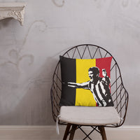 Phillipe Albert NUFC Geordie Cushion